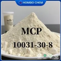 Breng uw bakwerk naar een hoger niveau met monocalciumfosfaat 10031-30-8